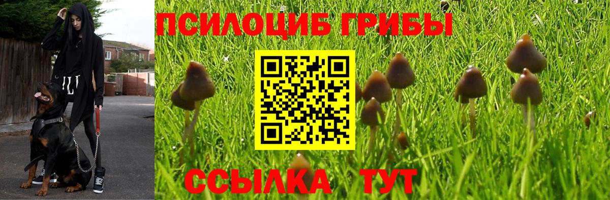 Наро-Фоминск  Галлюциногенные грибы мицелий  Вход с VPN 